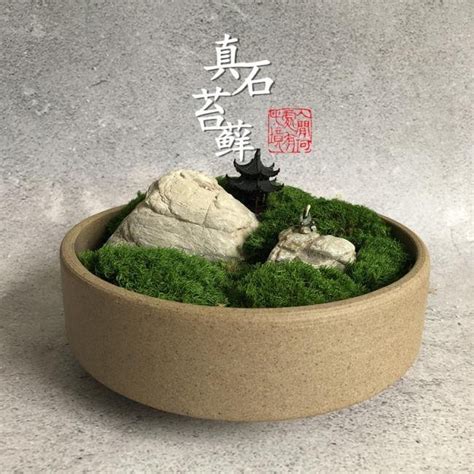 中國古代數字 苔蘚盆景
